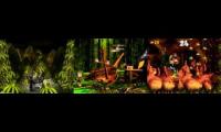 Donkey Kong Country a 2 and 3 100% TAS