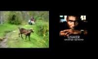 Thumbnail of Usher vs goat