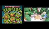 teenage mutant ninja turtles in a half shell