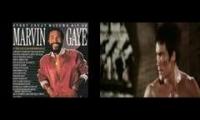 Chuck Norris vs Bruce Lee (Marvin Gaye style)