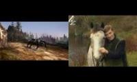 Mounts in Neverwinter - Lovely horse