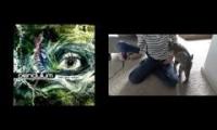 Pendulum - Tarantula vs. Oskar the Blind Kitten Versus Hair Dryer