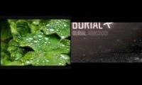 Chopin & Burial - Funeral of a Dismembered Victim - 04 Rain on the Window