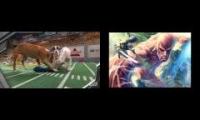 Attack on Puppy Bowl