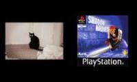 CAT COMPILATION SHADOW MADNESS CATMAN