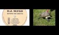 Tortoise n Slugo mash up