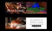 Thumbnail of Katzenschnurren und Regen