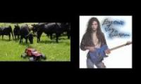 Richie Kotzen - Electric Joy - B Funk and cows~1!!