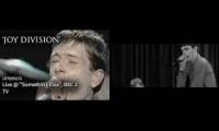 Joy Division - Transmission - BBC vs Control