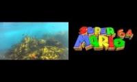 Dire Dire Docks OST for any Underwater footage
