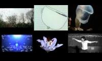 Radiohead- Lotus Flower
