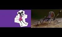 Spider Dance [adrisaurus/BBC]