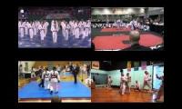 Aspects of Taekwondo