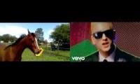 Horse and Eminem as the perfect match