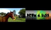 Thumbnail of Jngl Kruzah! feat. Rubber Chicken