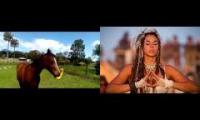 horse rubber chicken psy trance