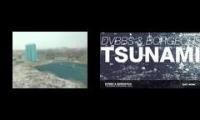 Tsunami Music Video Mashup
