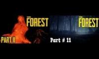 The forest German 11#