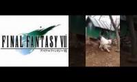 Chicken Final Fantasy