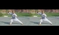 Shaolin kung fu Dharma cane