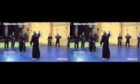 Ninjutsu 'Stick fighting' basics - Hanbo training for the AKBAN wiki