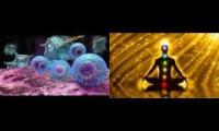 Terrance McKenna Reality Meditation