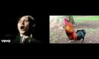Blink 182 Rooster Crowing