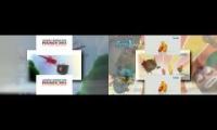 Similar Scan Twoparison: Angry Birds Rio Trailer And Larva Scan