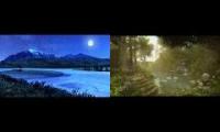 Moonwell and forest ambience