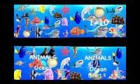 LEARN SEA ANIMALS & WATER ANIMAL NAME AND SOUND REAL OCEAN SOUND FOR KIDS