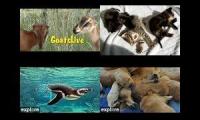 Thumbnail of Paddle Office Animals