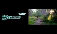 Man chases bear to the sweet sounds of Dvorak