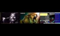 In Tribute Lion of Judah :(Bob Seger t192;)StLMnAvaIL uocbp ib Locouno