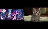 My Little Pony the movie vs too cute