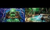 Healing Shaman Songs by Jungle Stream