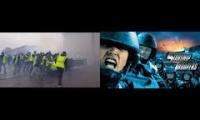 Thumbnail of les spartiates jaunes