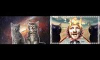Thumbnail of Space cats - belga cica