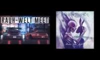 Rauh-Welt Meet Up vs. No Connection