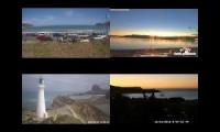 Wellington East Webcams