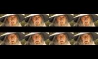 Thumbnail of We needed this. The multimate Gandalph mashup