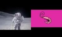 kero kero moon - flamingo footage