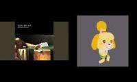 holy fucking shit 40,000 isabelle