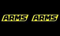 ARMS Main Theme (with ribbon girl)