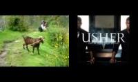 Usher Papers vs Man Goat