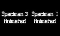 Some Duet: Specimen 1 and Specimen 3