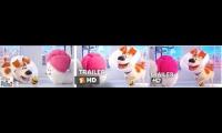 The Secret Life Of Pets 2 - The Busy Bee Trailer