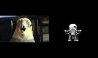 Thumbnail of "When Birbs Attack!" but the audio is replaced with megalovania