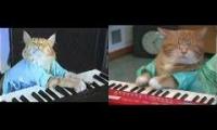 Original Keyboard Cat vs. New Keyboard Cat