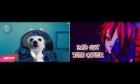 Bad Guy- Teto Kasane/重音テト & Gabe the Dog [Short Cover]