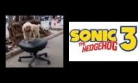 Sonic dog spinning to Marble Garden zone music